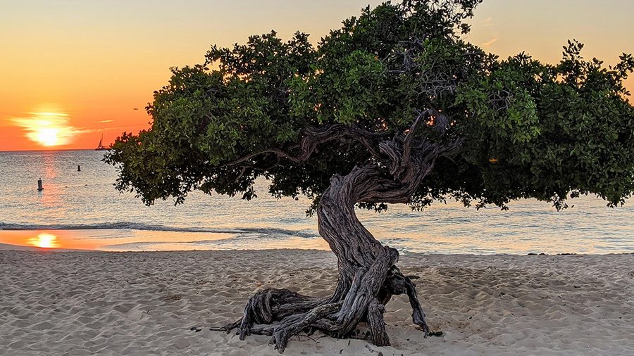 Aruba