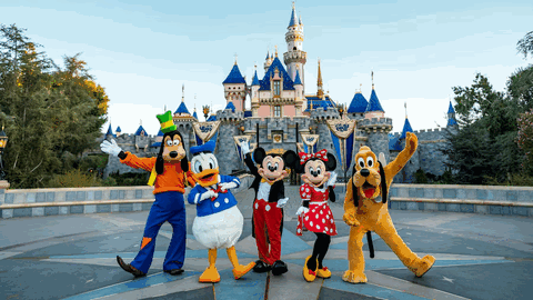 Disneyland Park